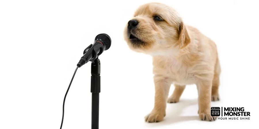 Professional Vocal Recording Professional Vocal Recording
