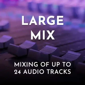 Mixing Monster Mixing Service – Large Mix