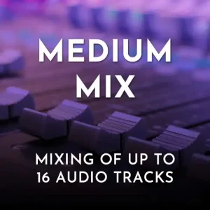 Mixing Monster Mixing Service – Medium Mix