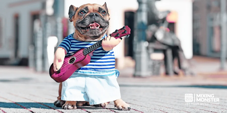 A Dog In A Costume Playing Ukulele A Dog In A Costume Playing Ukulele