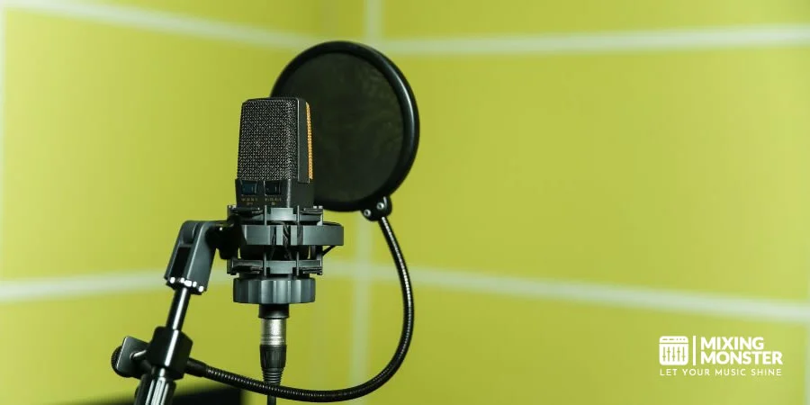 A Condenser Microphone With A Pop Filter A Condenser Microphone With A Pop Filter